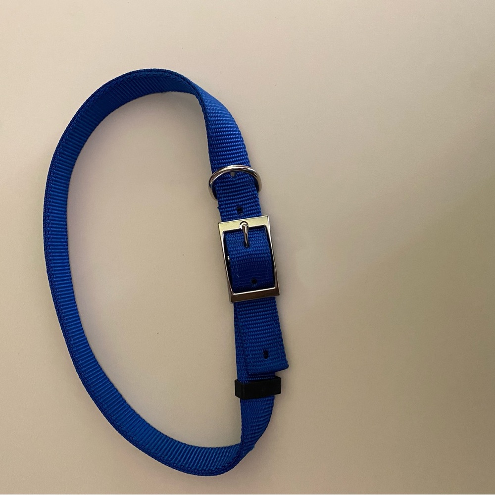NWOT - DOG COLLAR 1” x 29”